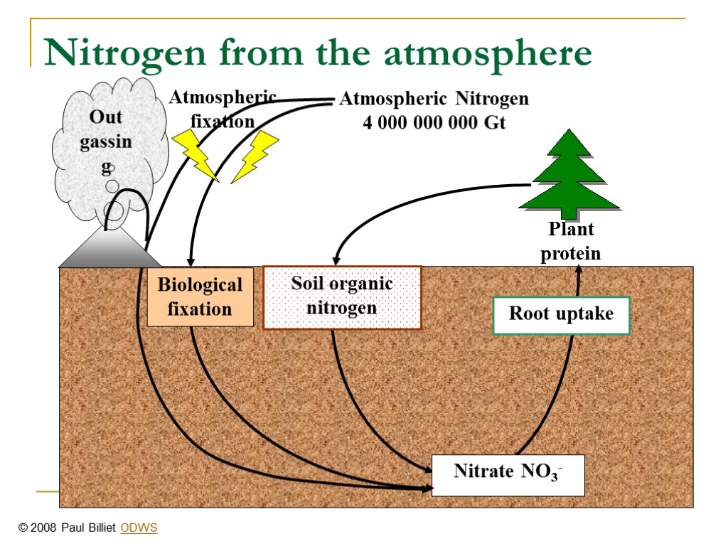 Nitrogen from the atmosphere Biological fixation Out gassing Atmospheric Nitrogen 4 000 000 000